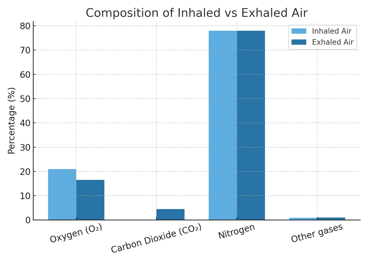 Inhaled and Exhaled Air Composition